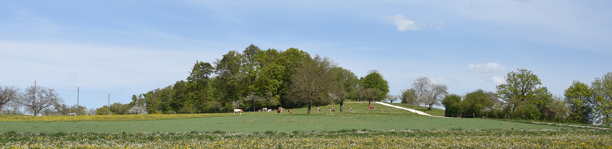 Mitarbeiter Gemeinde Seltisberg